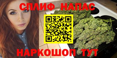 соль ск Будённовск